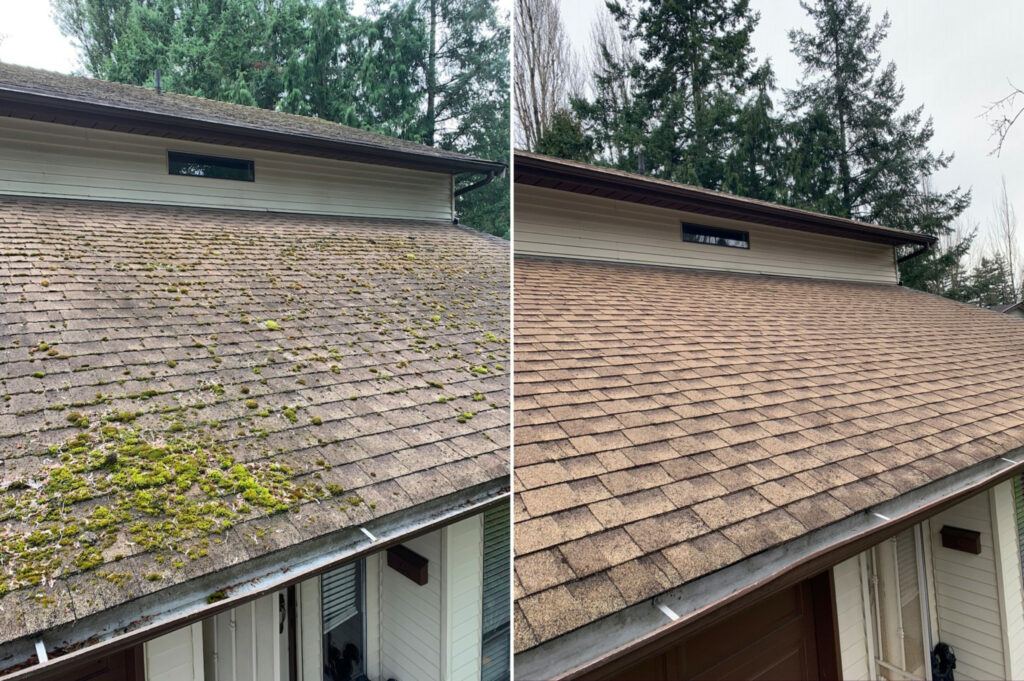 Roofing project